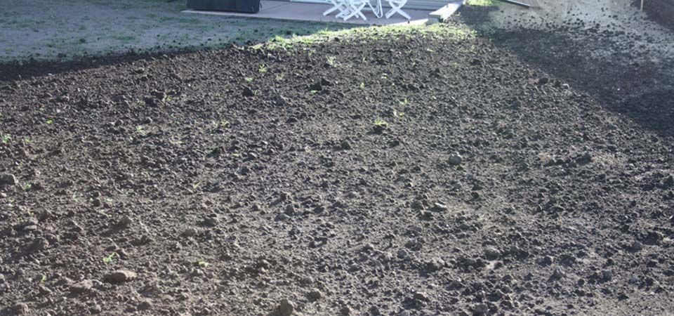closeup of brown dirt and gravel