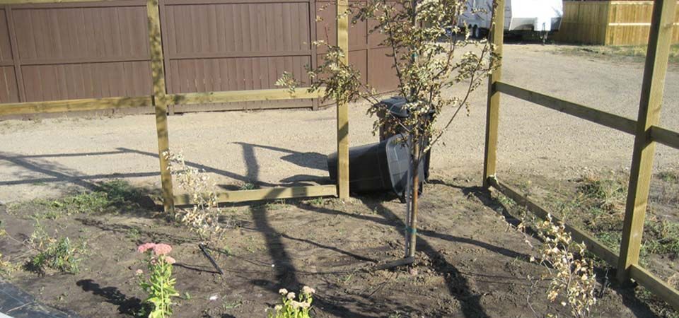 garden with dirt and wooden vine ladders
