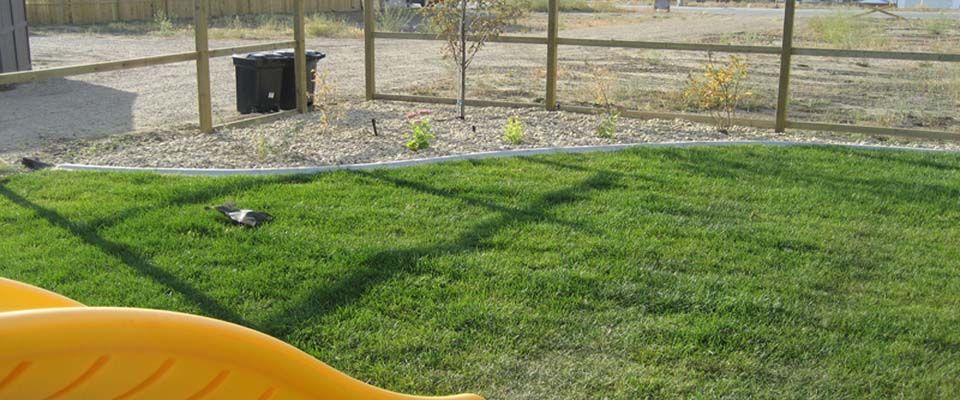 backyard with grass and gravel landscaping