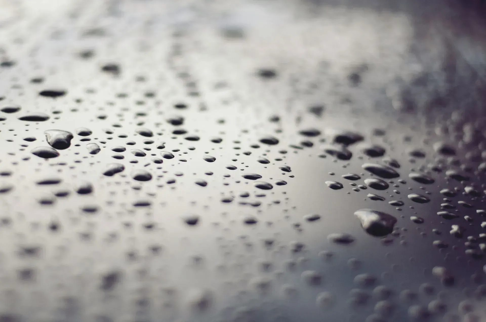 Close-up of a dark, reflective surface covered in small water droplets, reflecting light.
