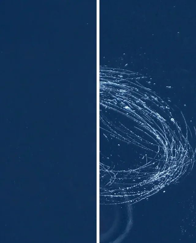 Cyanotype split into two halves: left side solid blue, right side shows swirling white lines and specks on blue background.