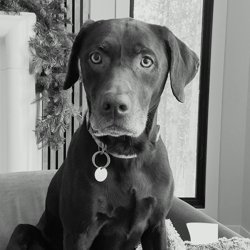 Harrison Falteisek, CFP®
