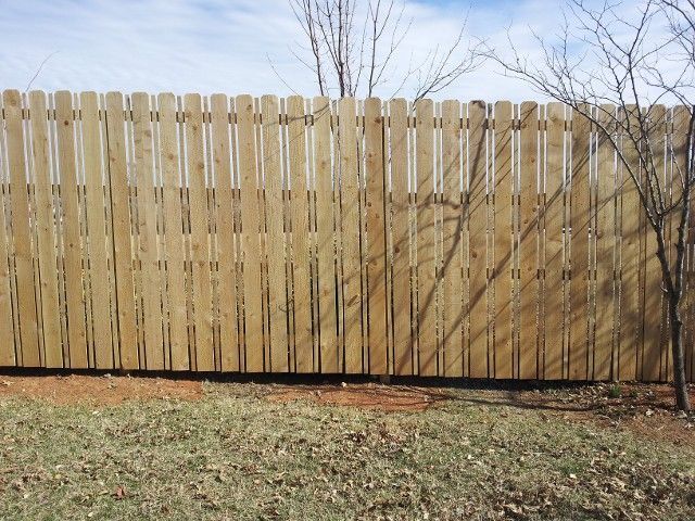 A wooden privacy fence with vertical slats and a tree branch casting a shadow in front of a grassy yard.