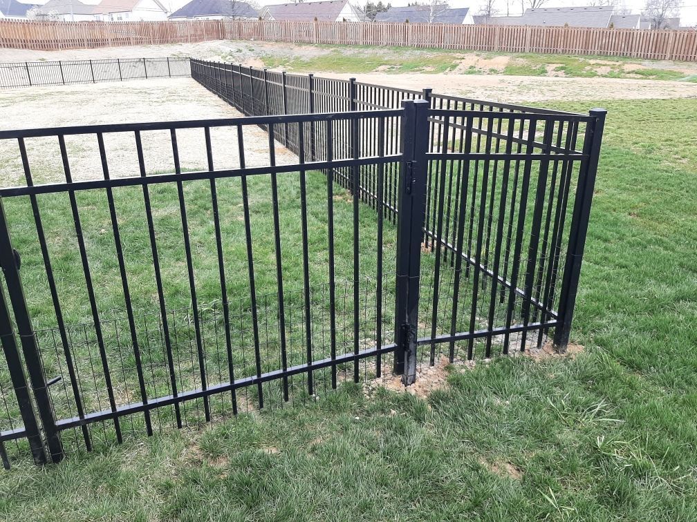A black metal fence encloses a green grassy yard, with a sandy lot visible in the background under a cloudy sky.