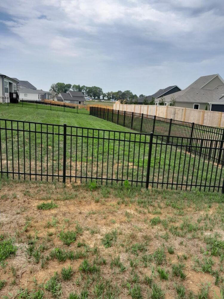 A grassy backyard with a black metal fence in the foreground and a wooden privacy fence along the side under a cloudy sky.