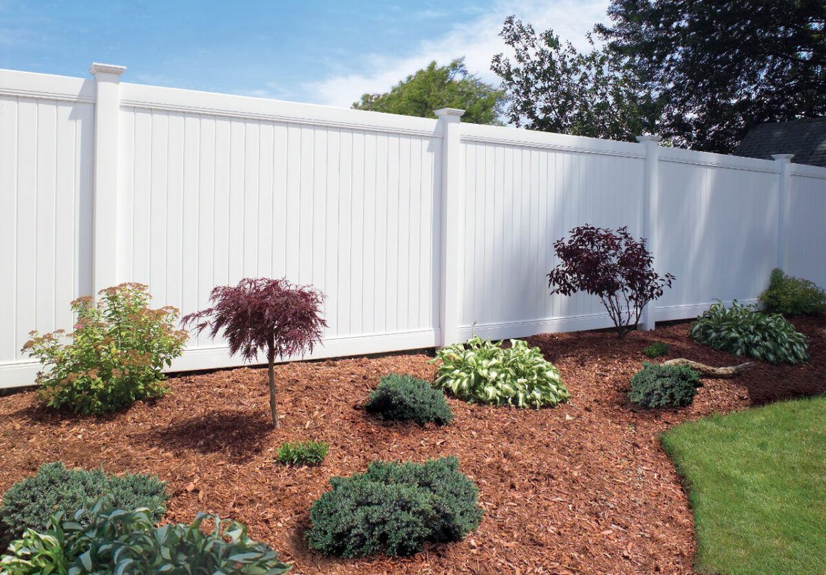 A white vinyl privacy fence lines a garden bed with red mulch, several small shrubs, and a patch of green grass.