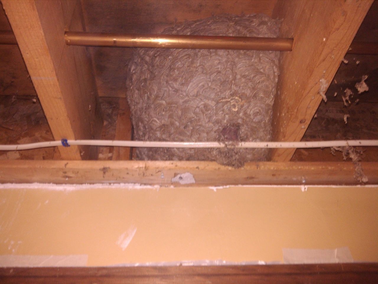 Clump of Dirt — Marlborough MA  — Bob Dolan Plumbing, Heating & Remodeling