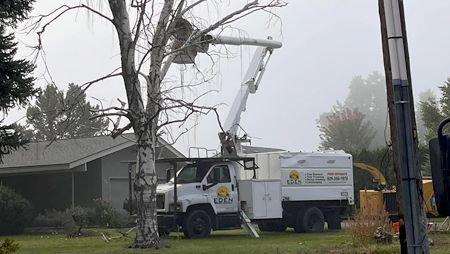 A tree cutting truck is parked in front of a house.