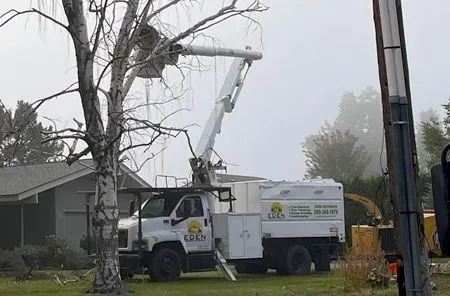 Truck with a lift trimming a tree near a house; cloudy day.