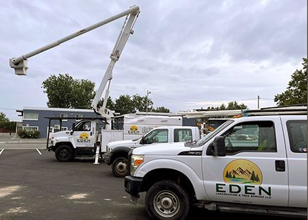 A row of eden trucks are parked in a parking lot.