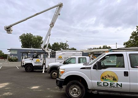 A row of eden trucks are parked in a parking lot.