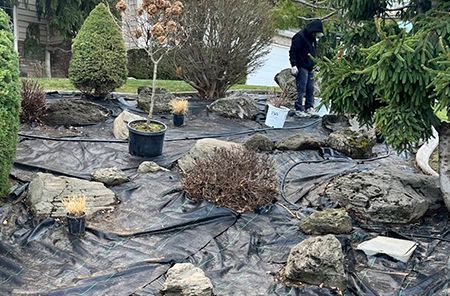 A man is standing in a garden surrounded by rocks and plants.