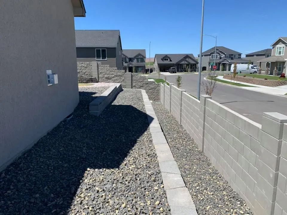 A sidewalk leading to a house in a residential area.