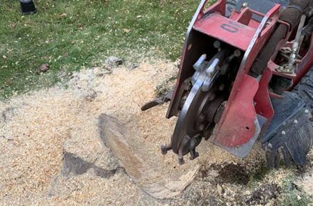 A machine is cutting a tree stump in the ground.