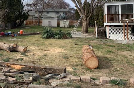 A log is sitting in the grass in front of a house.