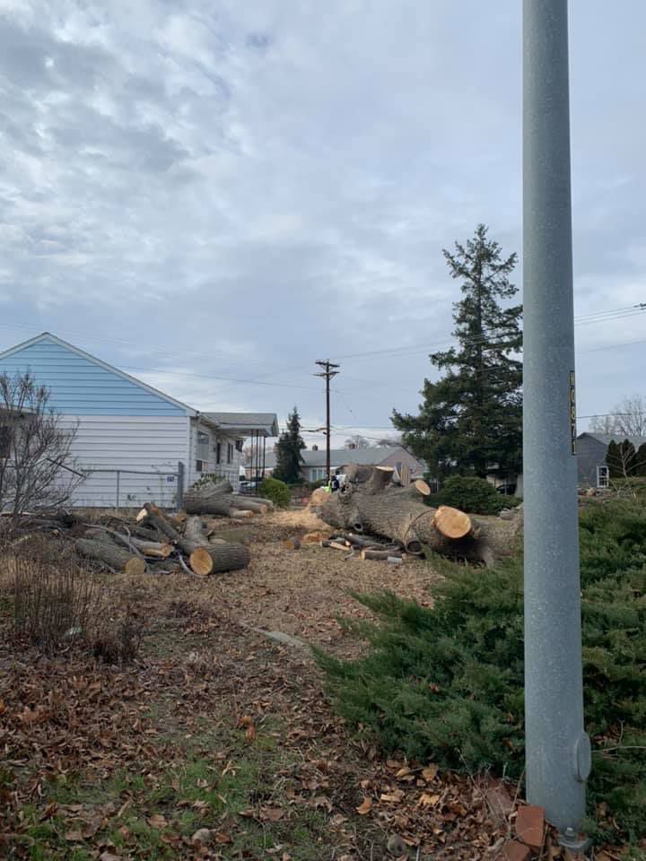A bunch of logs are laying on the ground in front of a house.