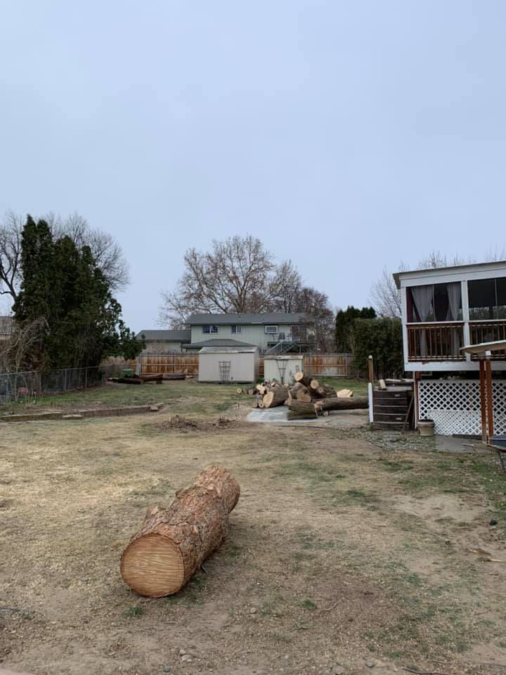 A large log is sitting in the middle of a grassy field in front of a mobile home.