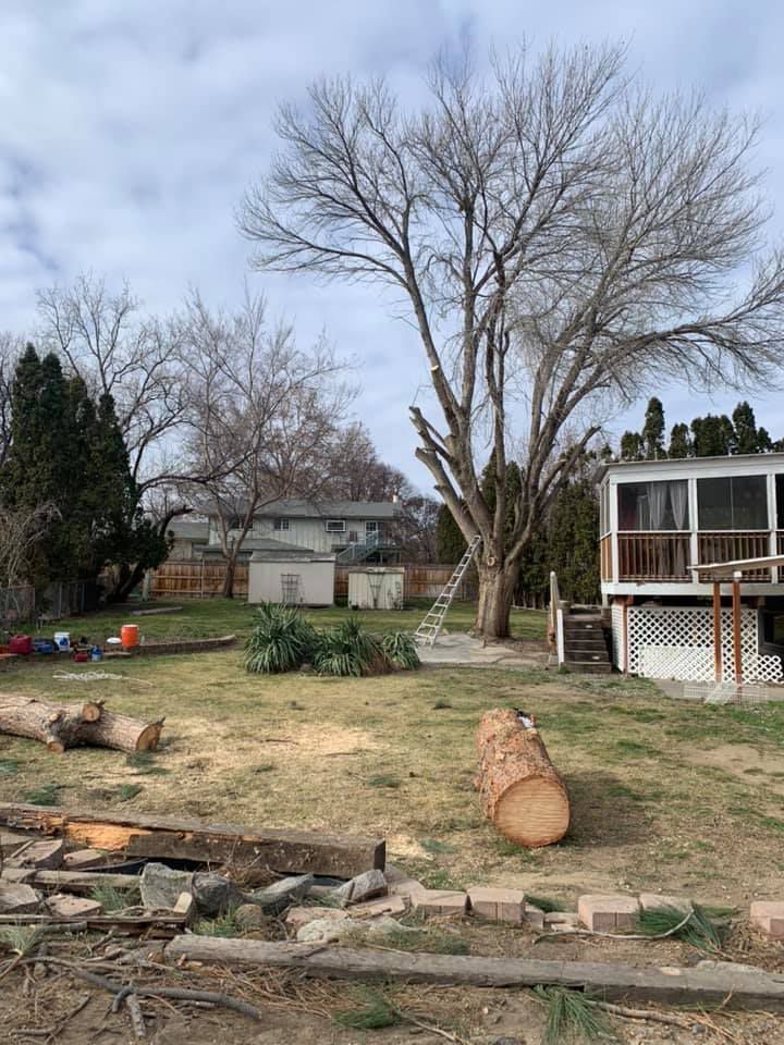 A log is sitting in the middle of a yard next to a house.
