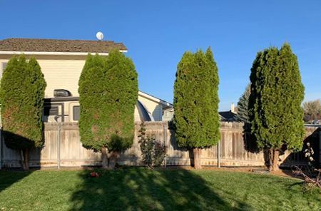 A house with a fence and trees in front of it.