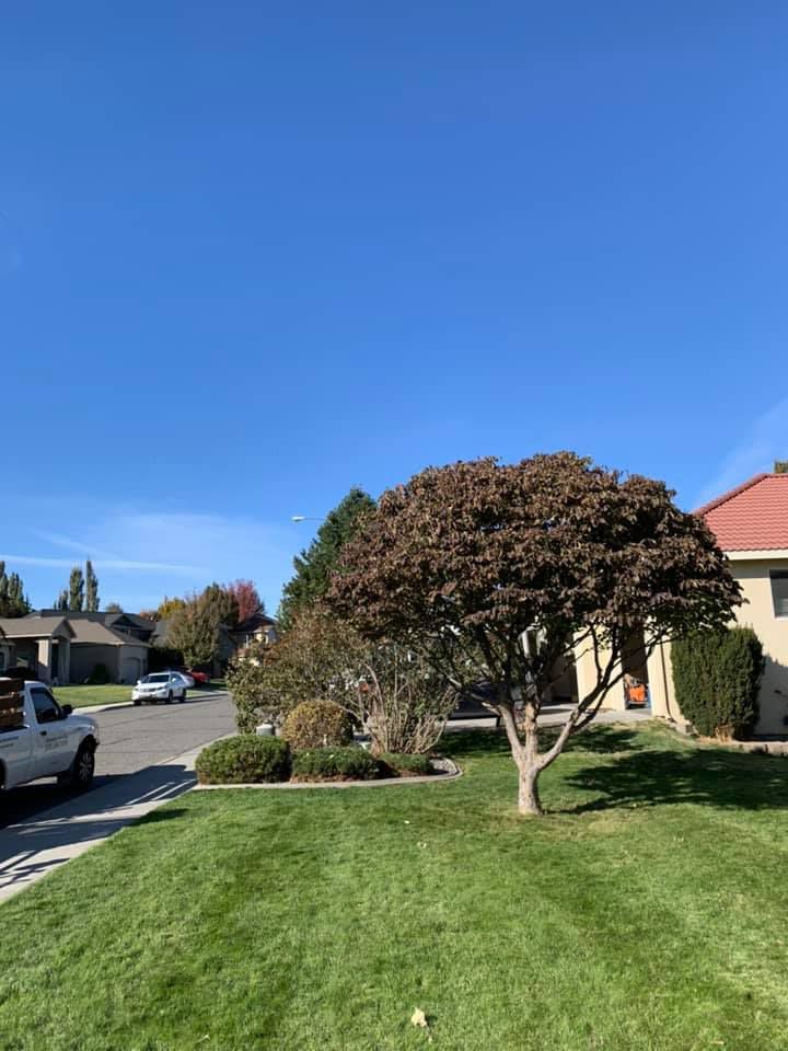 A white truck is parked in front of a house with a tree in the yard.