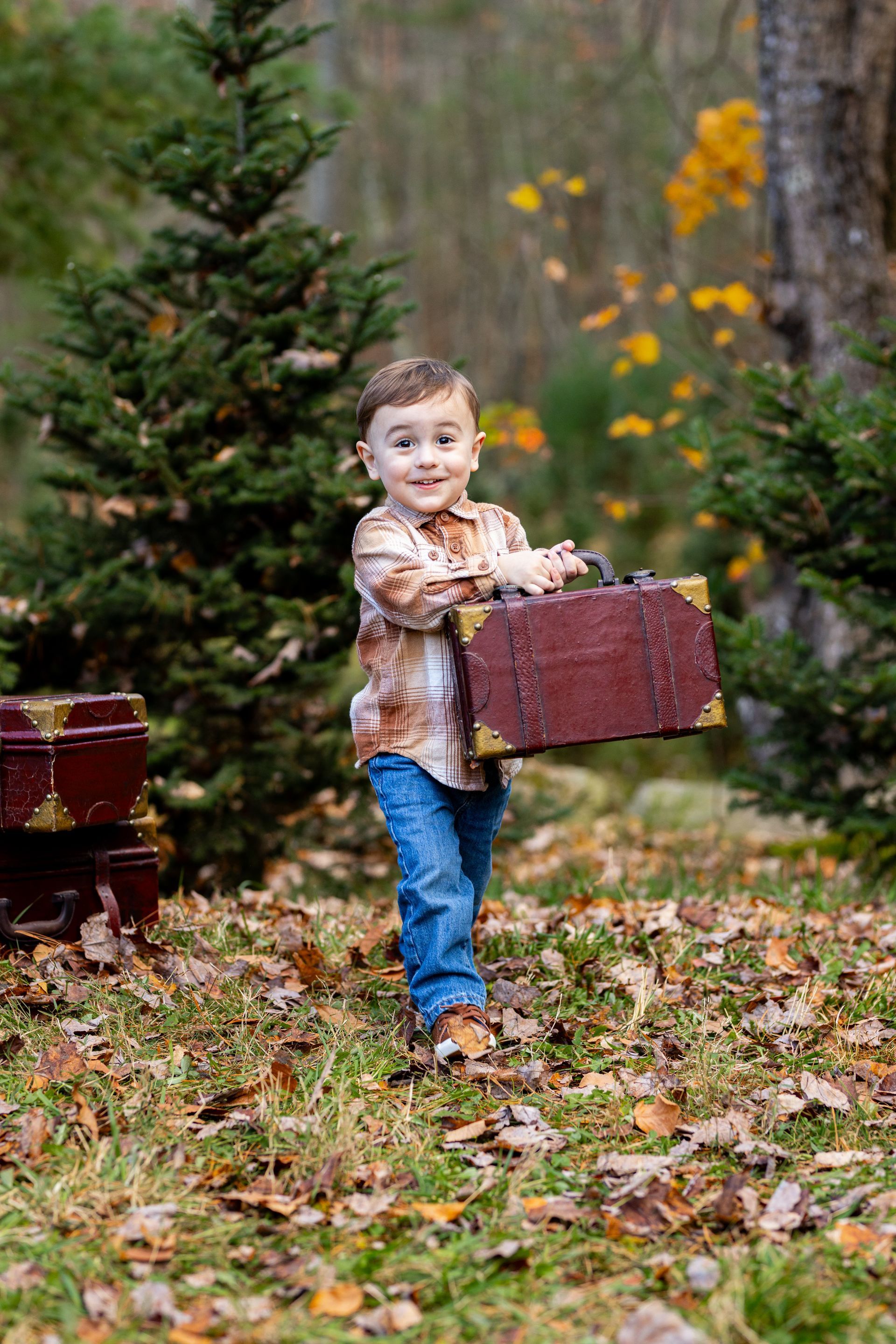 A little boy is holding a suitcase in the woods.