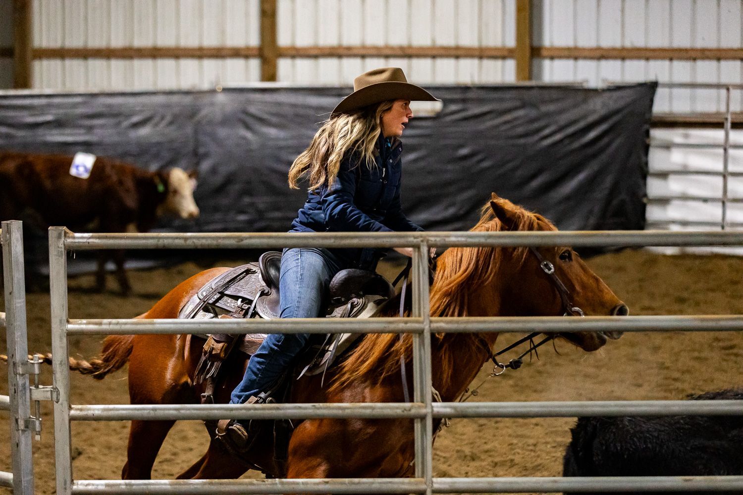 Photography MA -Equestrian photographer brown horse with a woman in a cowboy hat and long blonde hair riding