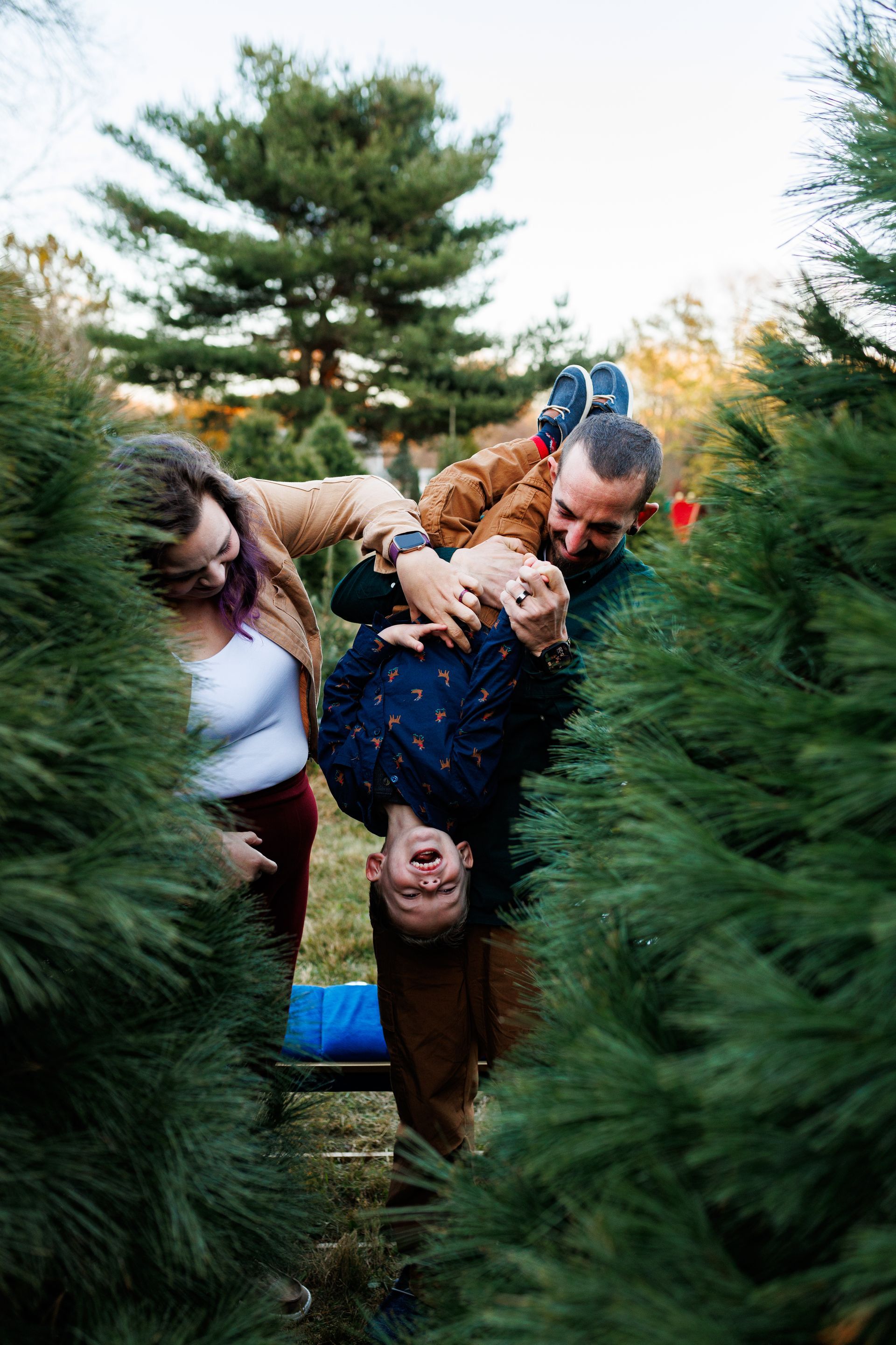 A family is picking a christmas tree at a christmas tree farm.