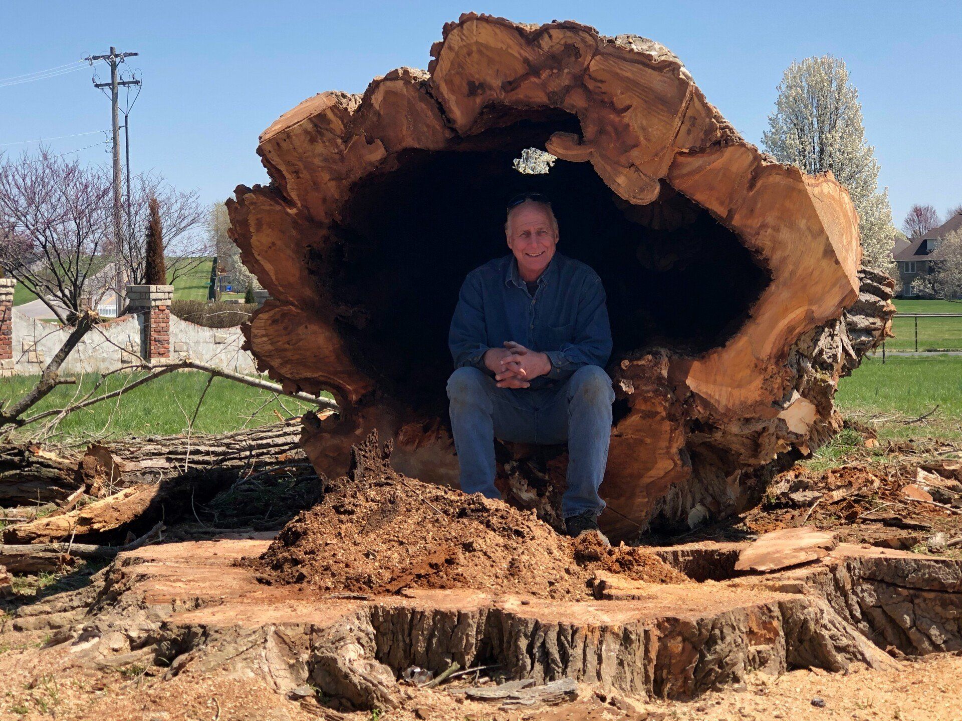 Young man pruning tree — Springfield, MO — Randy Nixdorf