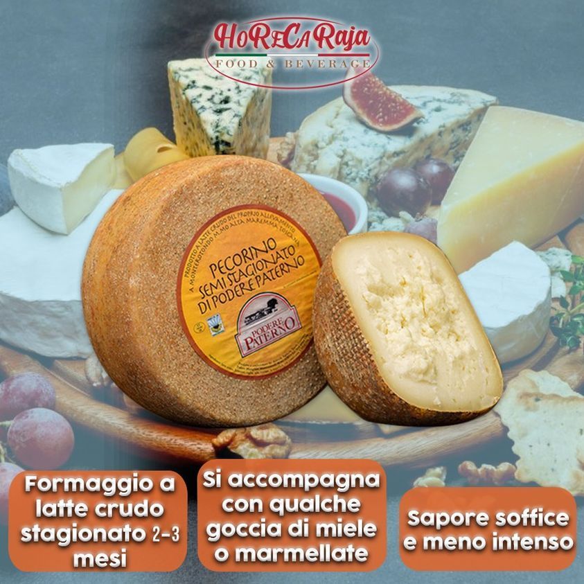 pecorino semistagionato