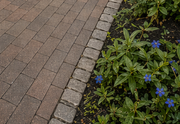 Brick walkway beside a flower bed with green leaves and small blue flowers