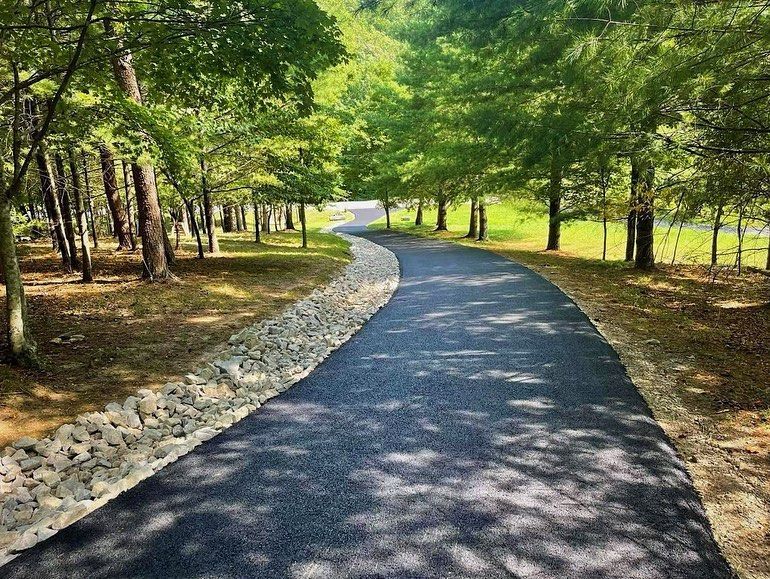A road going through a forest with trees on both sides.