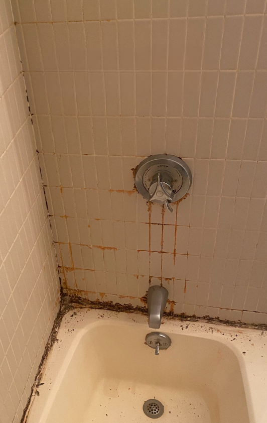 Old, stained bathtub and tiled shower walls with rust, in a neglected bathroom.