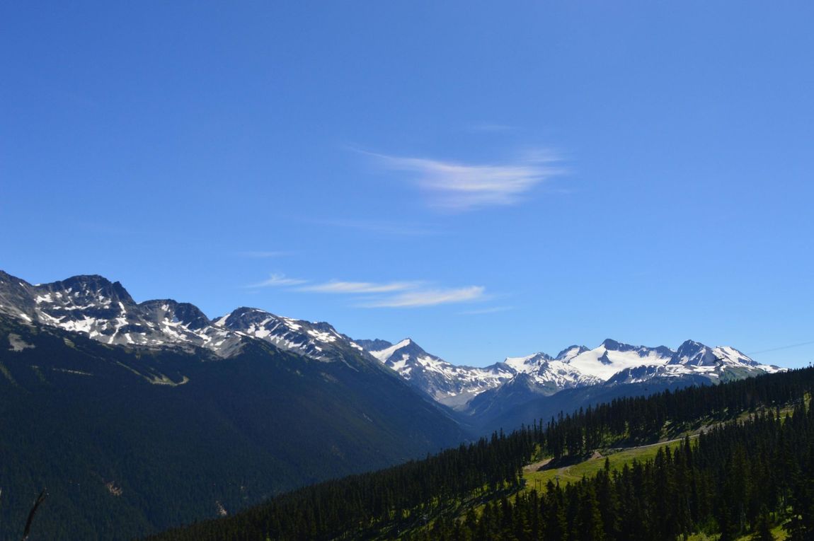 Whistler, BC. Suco's hair salon: home page.