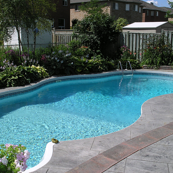 Swimming pool with blue water and stone patio surrounded by greenery and a fence.