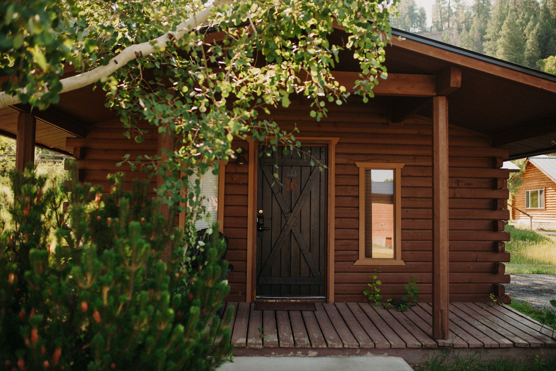 Brown log cabin with dark wooden door, small window, and porch, nestled in greenery.