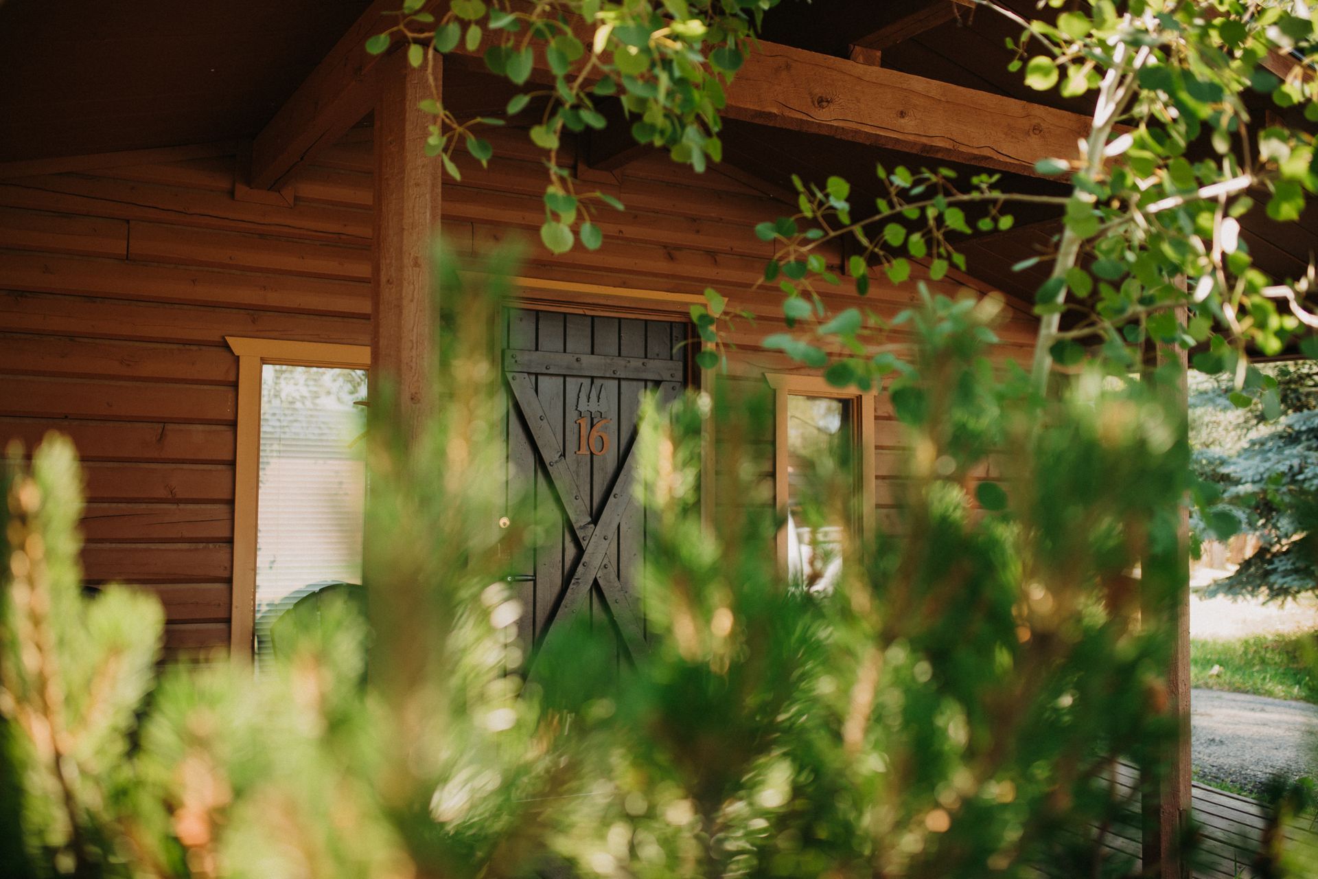 Rustic cabin exterior with a dark door and green foliage.