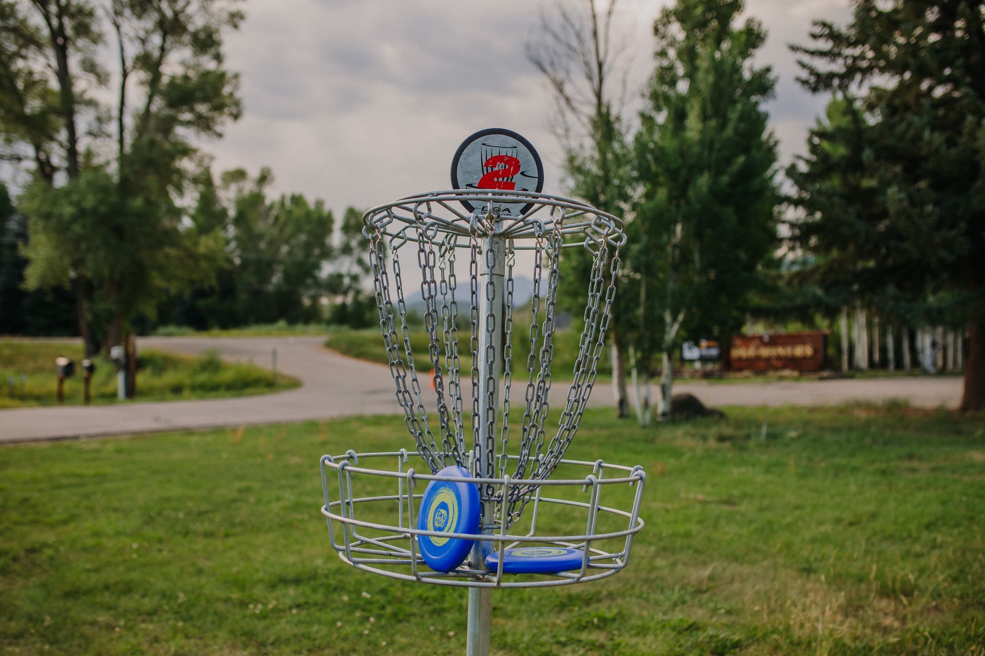 Disc golf basket in a grassy park setting, chains and blue disc visible.
