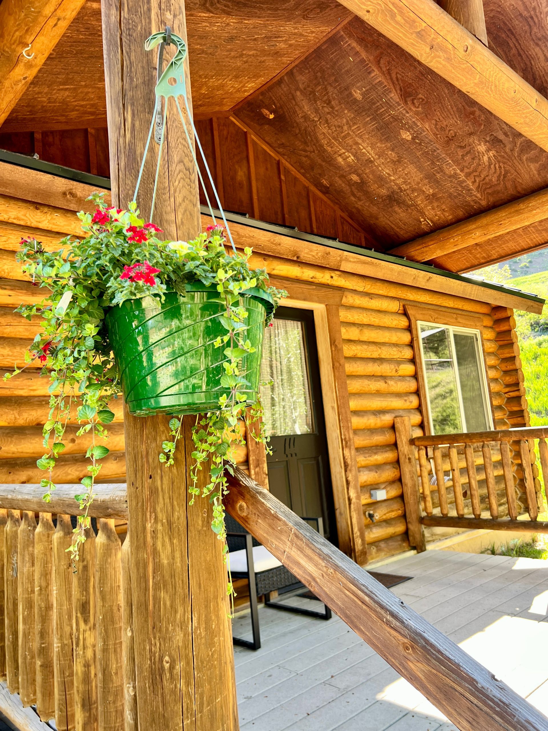 A green hanging basket with red flowers hangs on a wooden post, with a log cabin in the background.