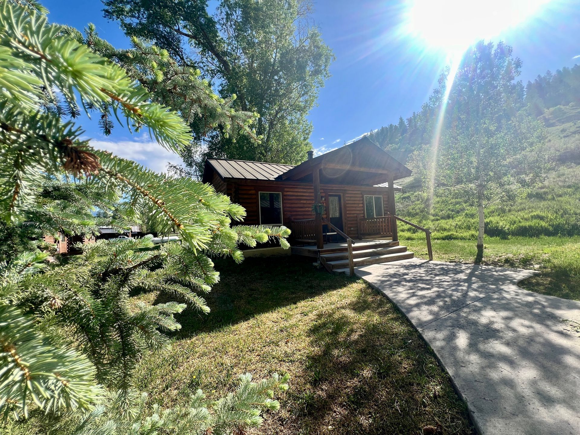 Log cabin with a pathway and sunlit trees.
