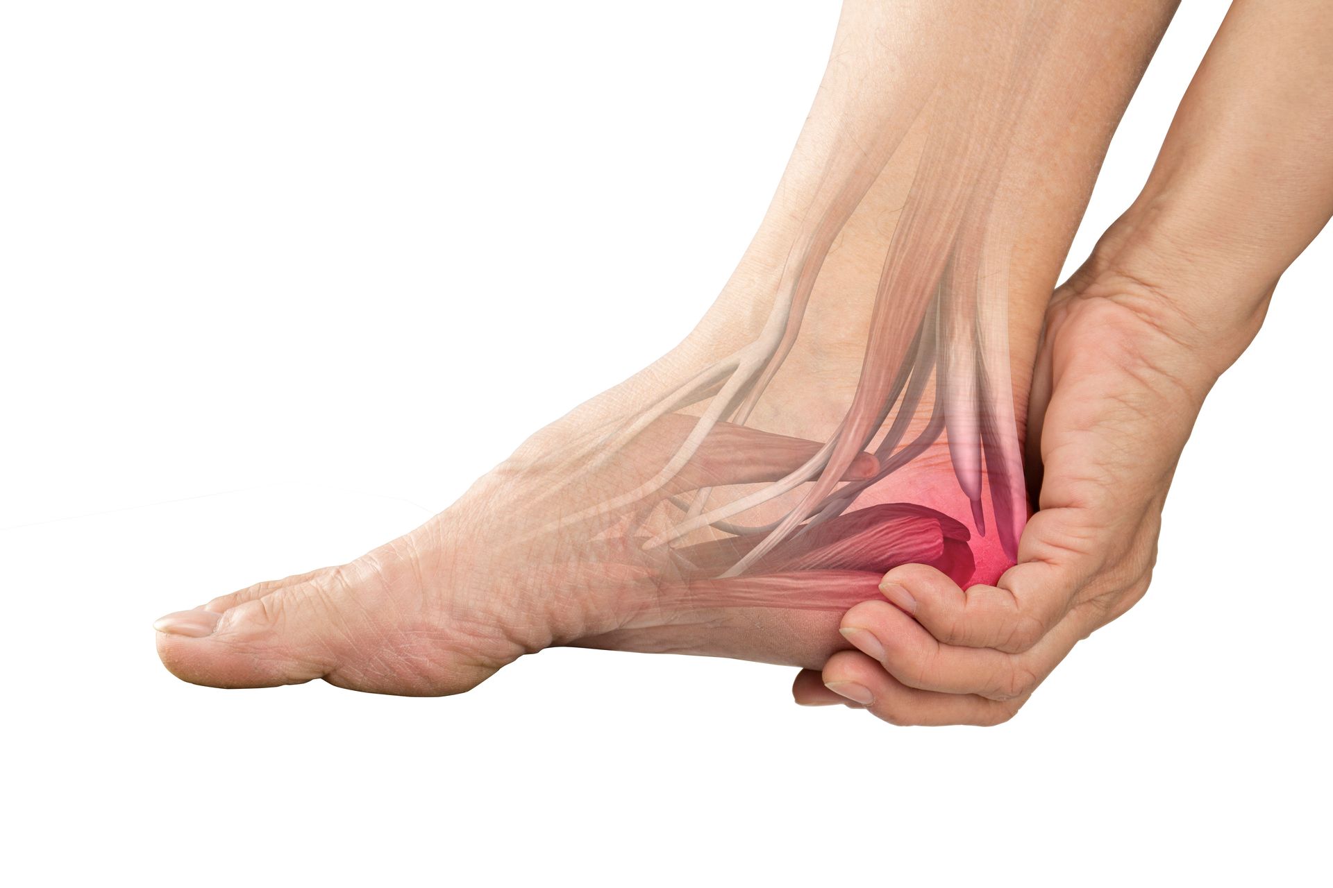 Hands holding an injured ankle with a red pain highlight, showing a foot sprain or strain