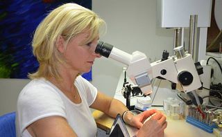 Zahnersatzgestaltung unter dem Mikroskop für mehr Präzision