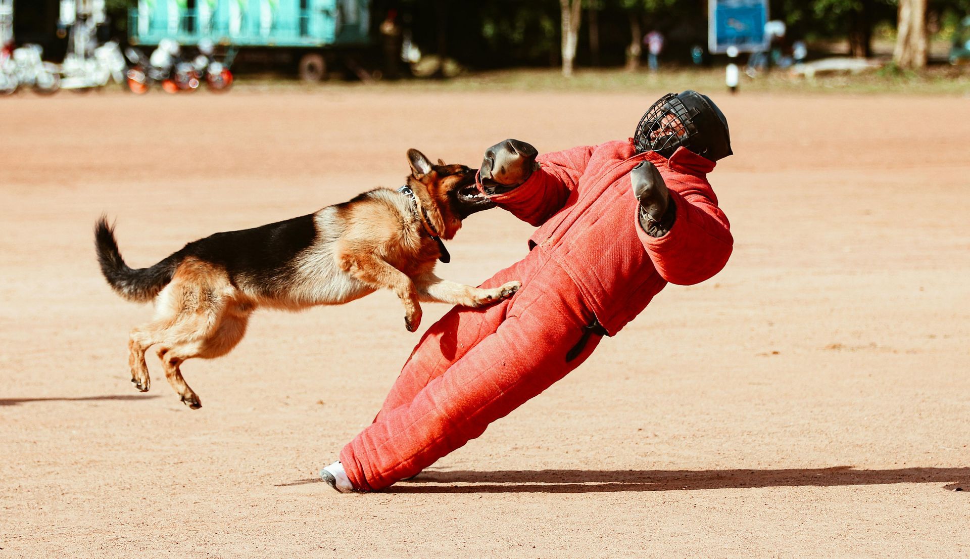 Weapon and Explosives Detection Dog Services.