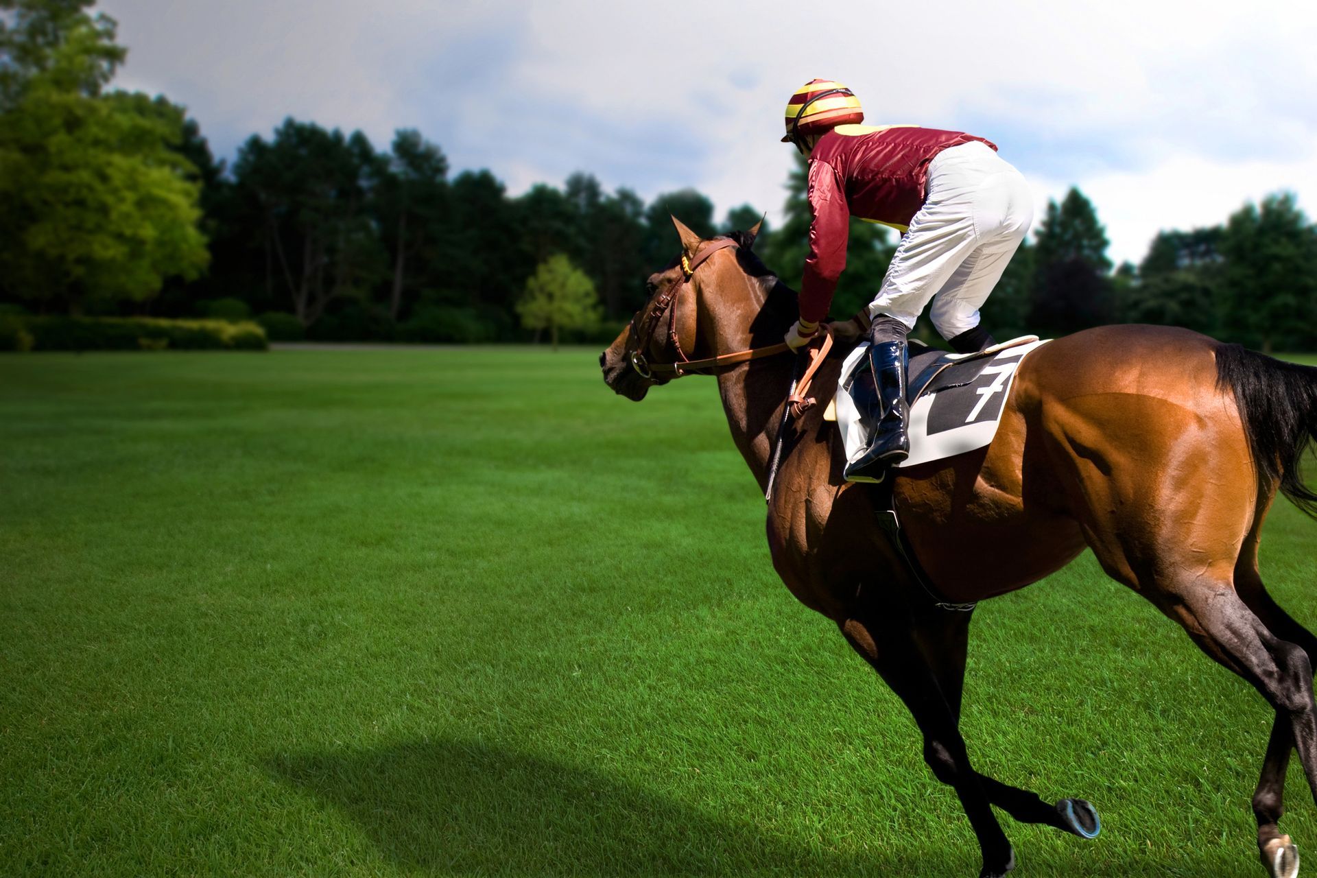 Cavallo e fantino corrono su un campo verde. Fantino in rosso e bianco. Soleggiato, all'aperto.