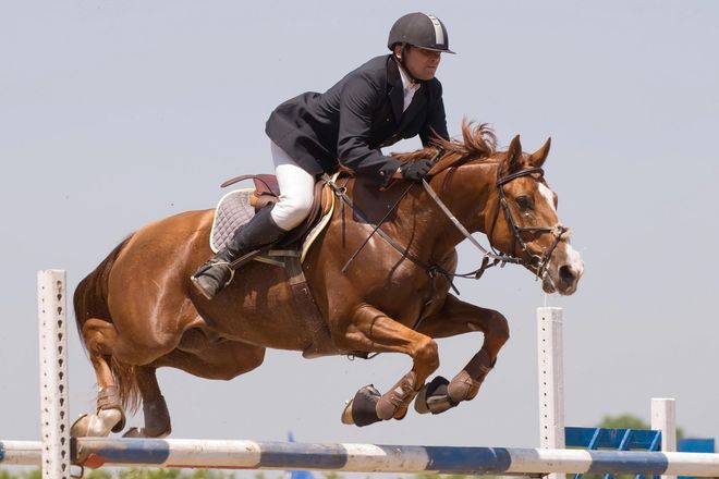 Cavallo e cavaliere saltano oltre una recinzione a strisce blu e bianche. Il cavallo è marrone; il cavaliere indossa un mantello nero.