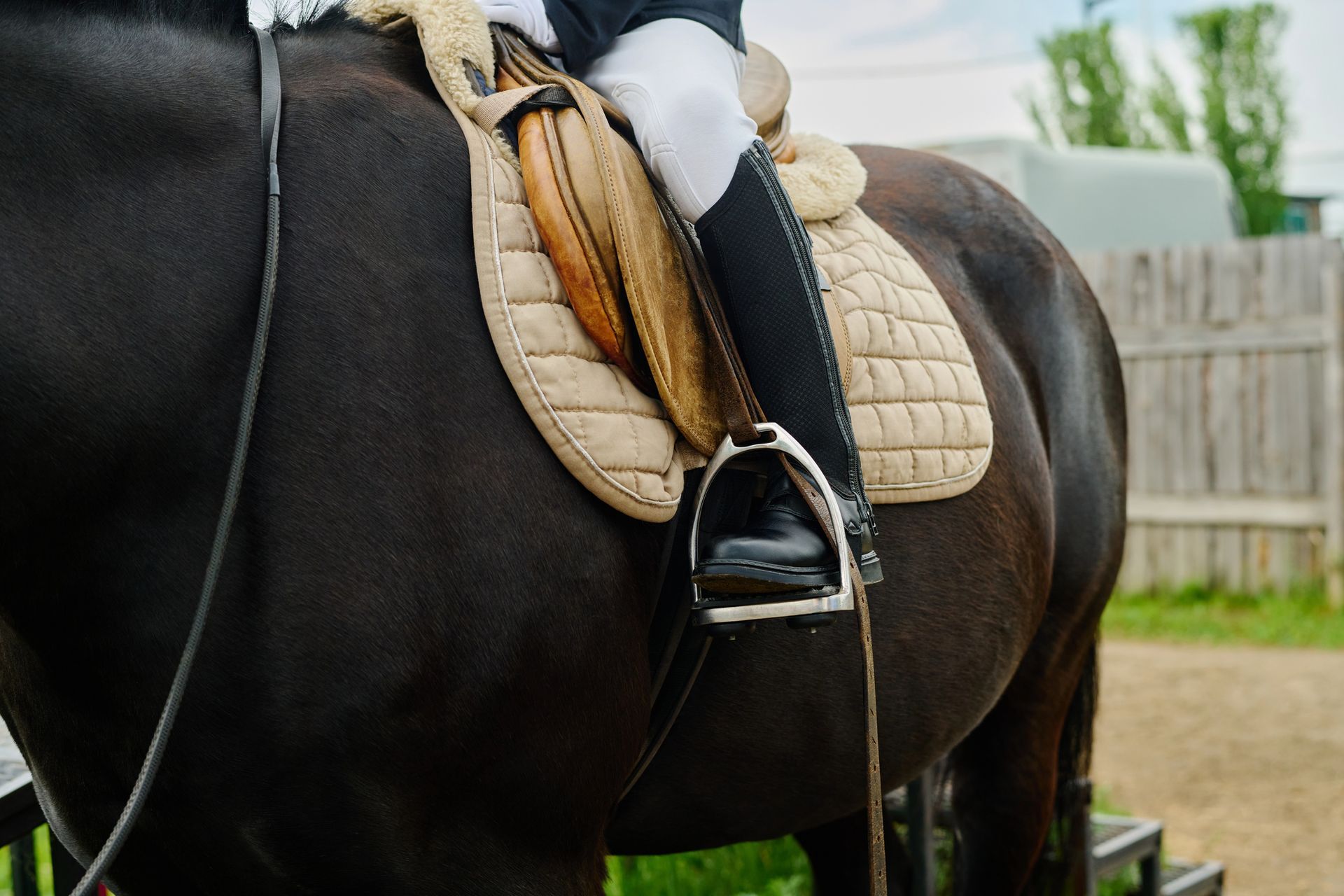 Cavallo e cavaliere in sella, primo piano. Sottosella beige, stivale da equitazione nero nella staffa.
