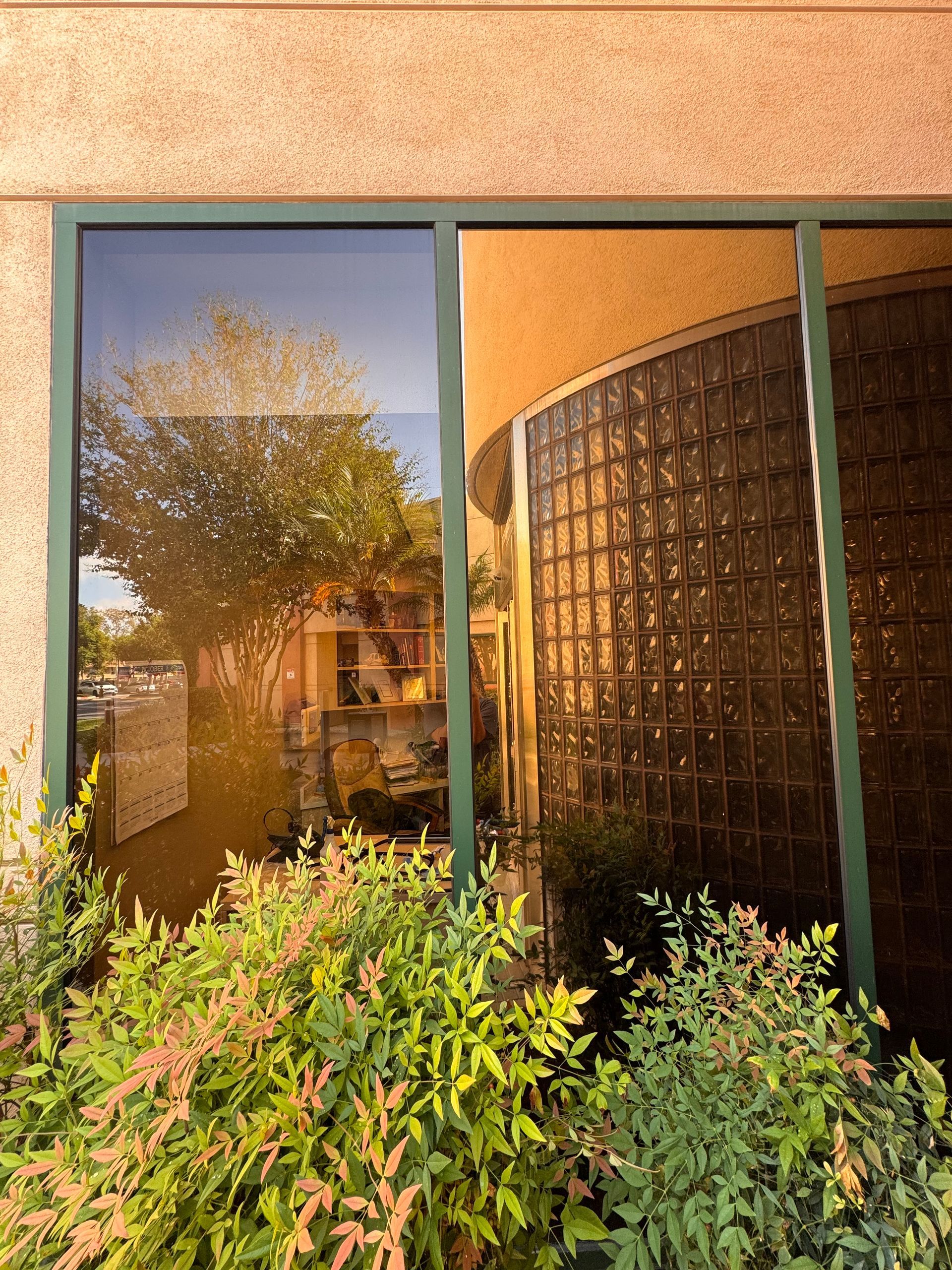 A building with a window and a bush in front of it.