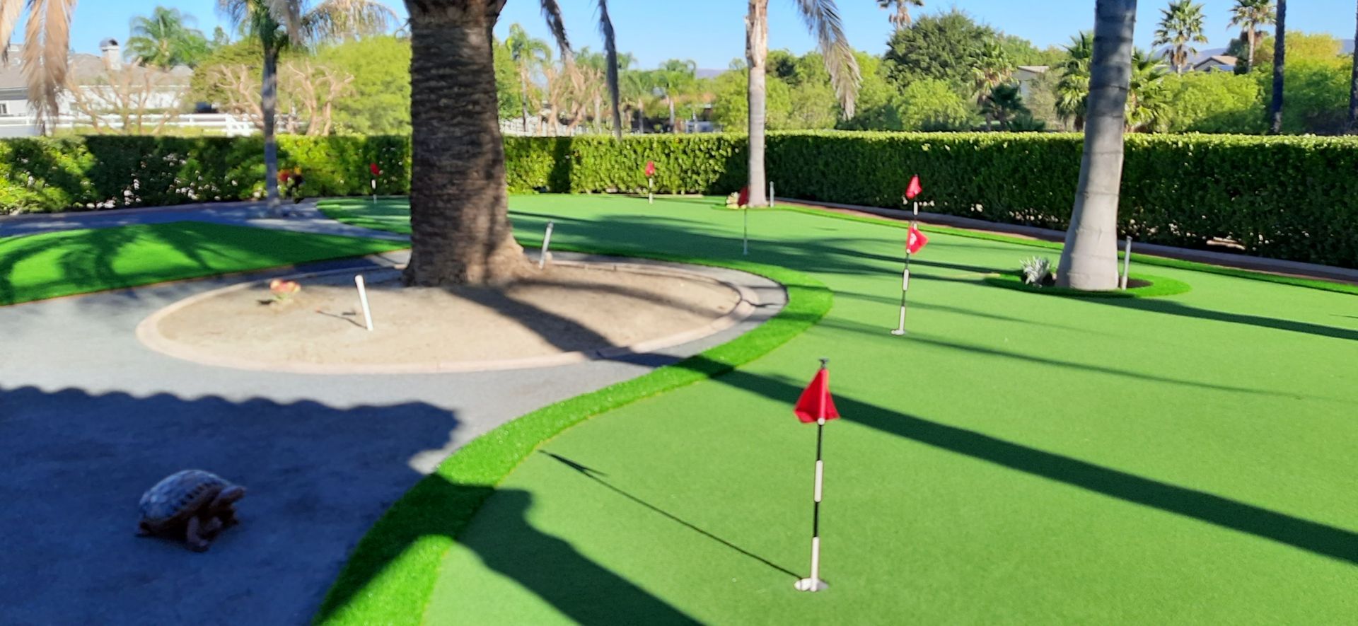 small back yard putting green