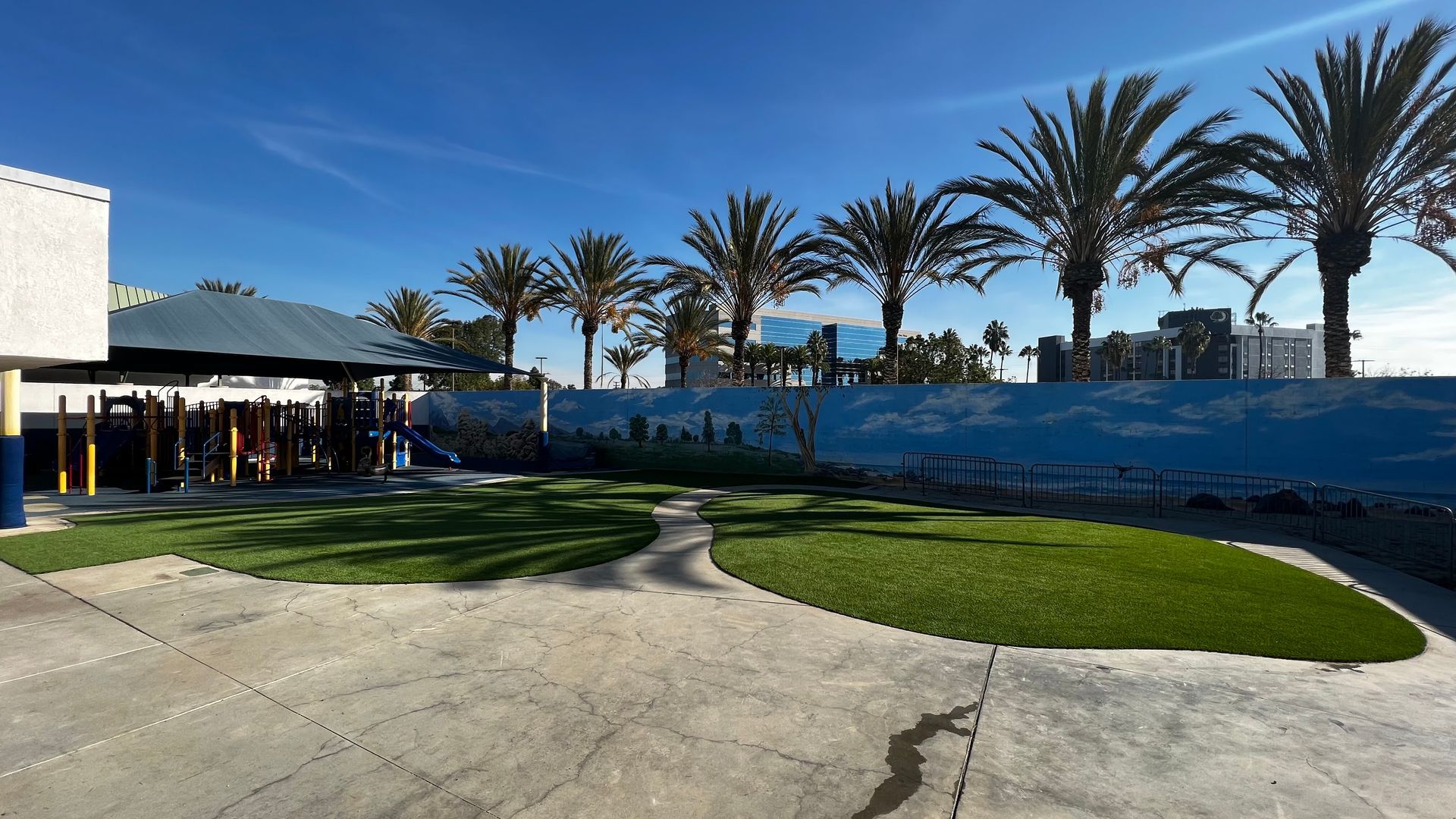 planter and new synthetic grass