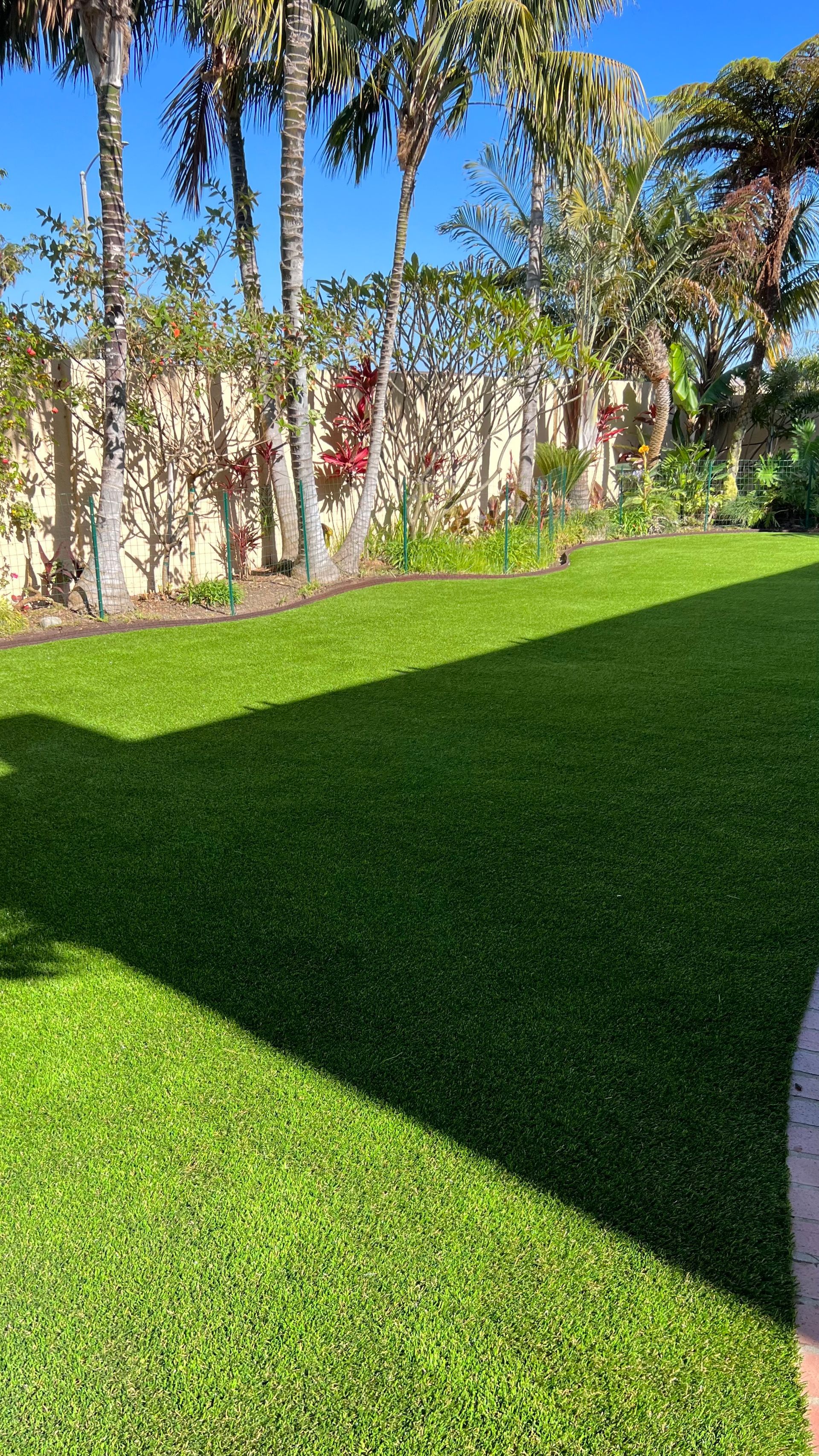 small dog on pet turf