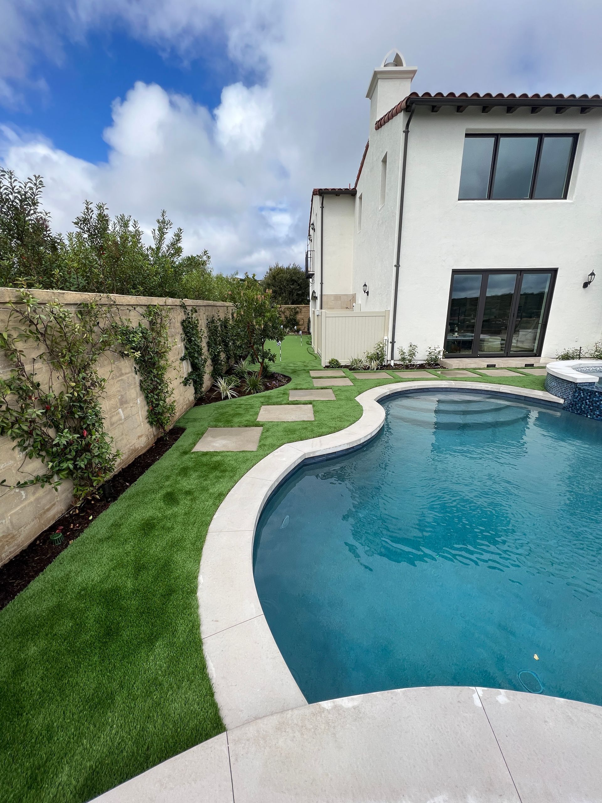 synthetic grass and desert scape